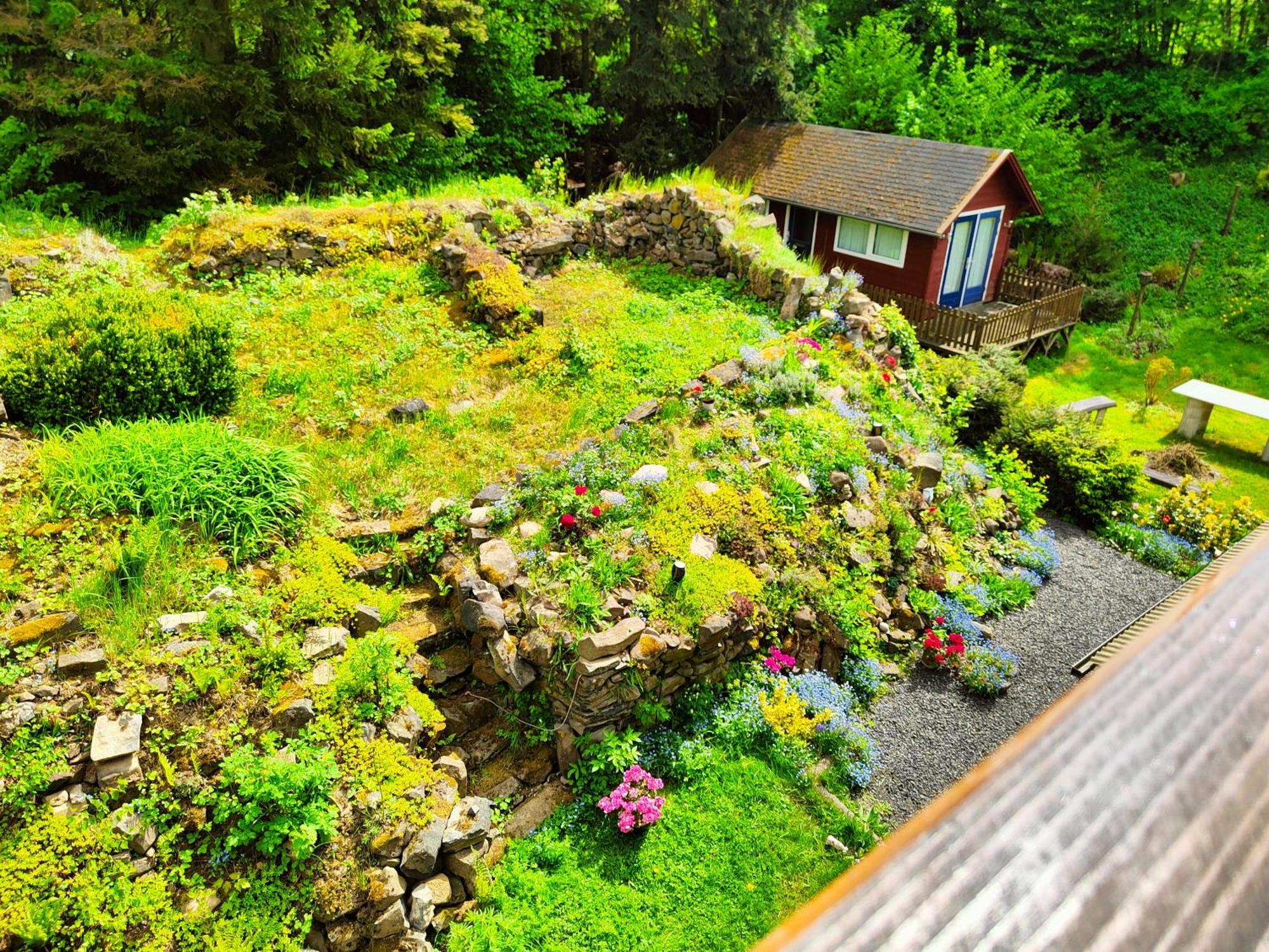 Bed And Breakfast Tvrz Velká Bukovina Eksteriør bilde