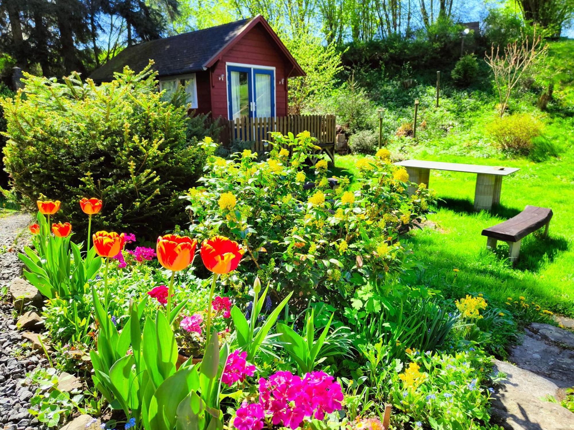 Bed And Breakfast Tvrz Velká Bukovina Eksteriør bilde